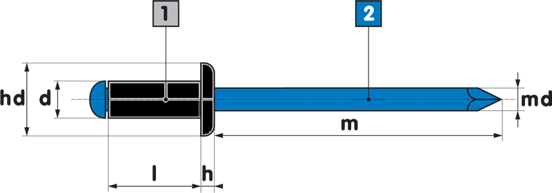 3.2 x 10  